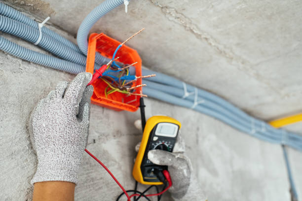 Best Electrical Repair Services  in Frazee, MN