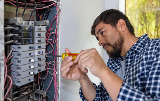Best Electrical Outlet Repair  in Frazee, MN